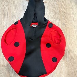 Zara Red and Black Ladybug Bib